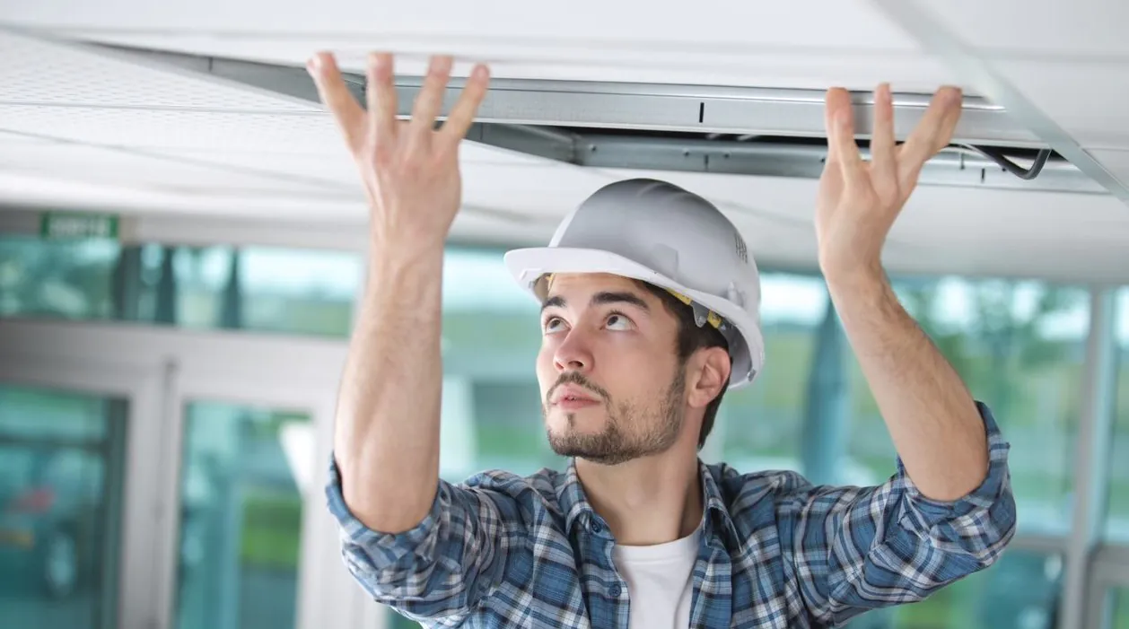 Algemene voorwaarden